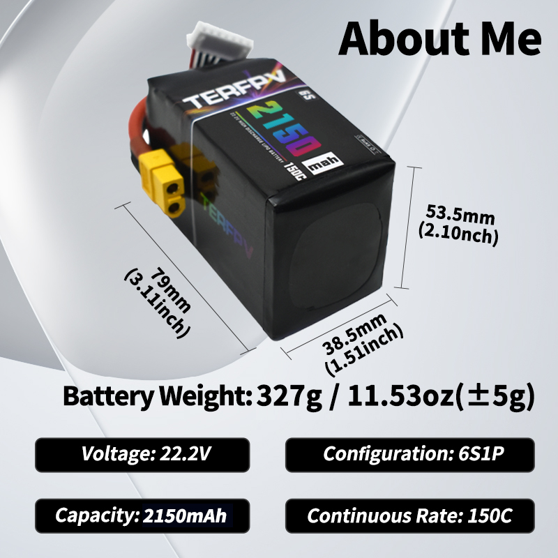 TERFPV Lipo Battery 6S 22.2V 1 - Lipo Battery 6S ulasan dan harga